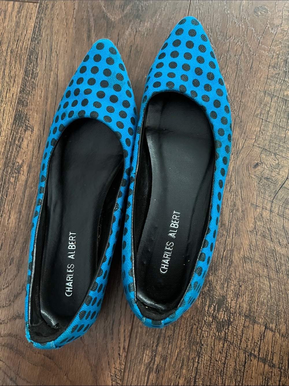 Charles Albert Turquoise Blue Polka Dot Pointed Flats